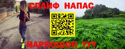 гидра Заводоуковск