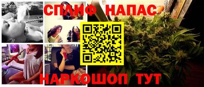 гидра Заводоуковск